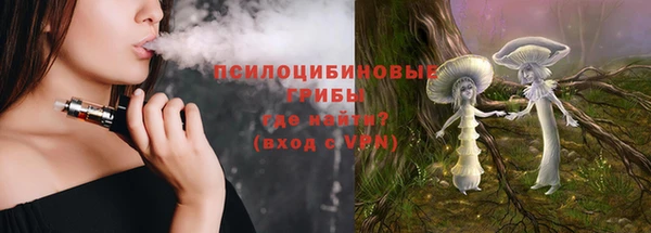 дживик Дмитров