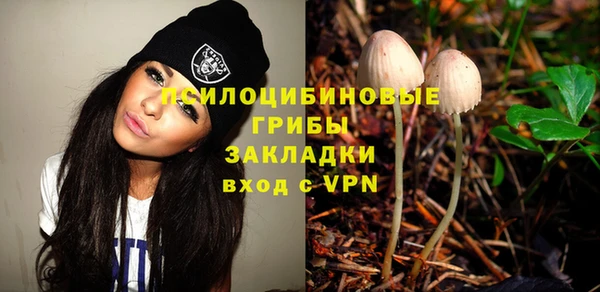 ГАЛЛЮЦИНОГЕННЫЕ ГРИБЫ Ельня