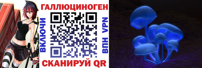 Галлюциногенные грибы Psilocybine cubensis Чебаркуль