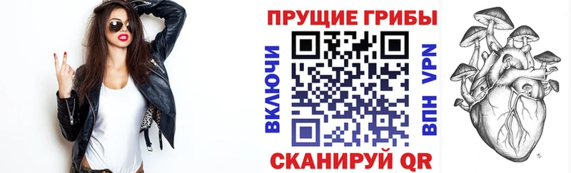 Галлюциногенные грибы мицелий  Купить где  Чебаркуль 